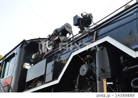 D51型蒸気機関車（千波公園／茨城県水戸市千波町） 14389889