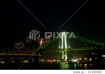 花火　東京湾大華火祭　2013年　港南大橋ベイクレスト前　東京都品川区 14390062