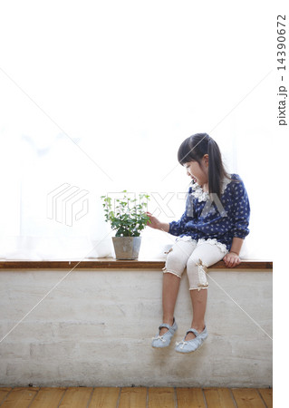 可愛い娘 14390672