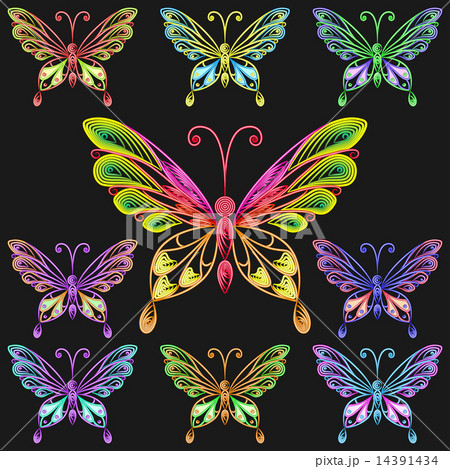 vector set colorful butterflies 14391434