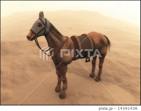 競争馬 14391436