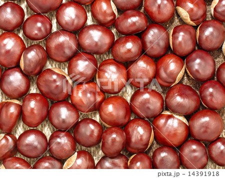 Chestnuts.Background. Chestnuts.Background. 14391918