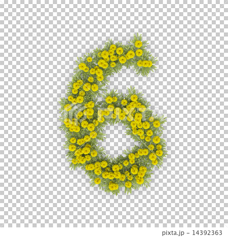 Kogumi number 14392363