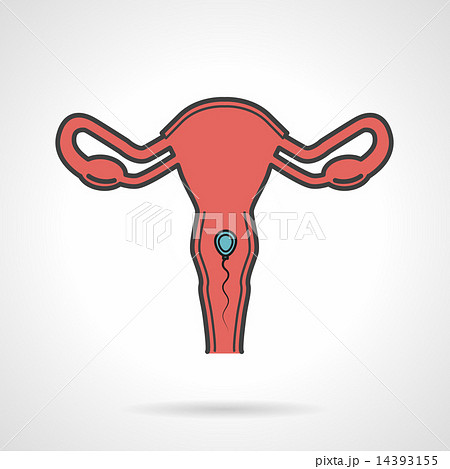 Uterine flat color vector icon 14393155