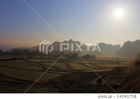 田んぼの朝霧 14393758
