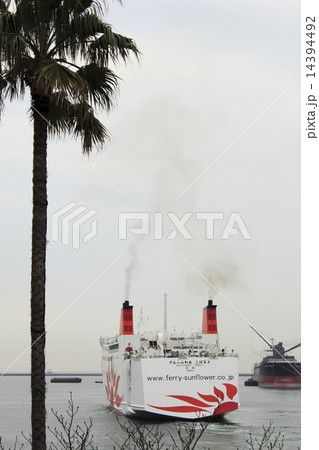 さんふらわあ　こばると 14394492