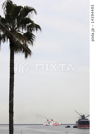 さんふらわあ　こばると 14394493