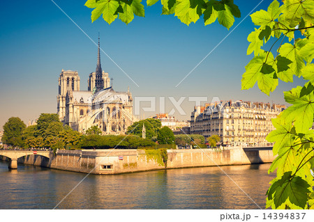 Notre Dame de Paris 14394837