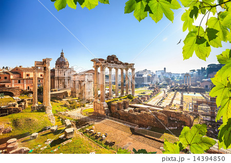 Roman ruins in Rome, Forum 14394850