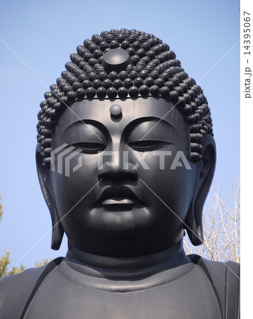 東京大仏 14395067