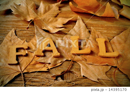 fall fall 14395170