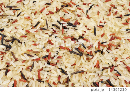 wild rice 14395230