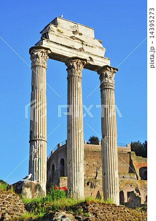 Roman Forum in Rome, Italy Roman Forum in Rome, Italy 14395273