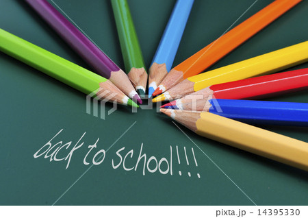 back to school 14395330