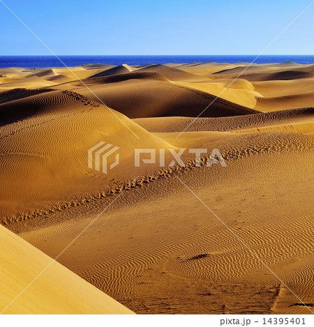 Natural Reserve of Dunes of Maspalomas, in Gran Canaria, Spain 14395401