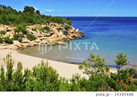 Cala Forn beach in Ametlla de Mar, Spain 14395486