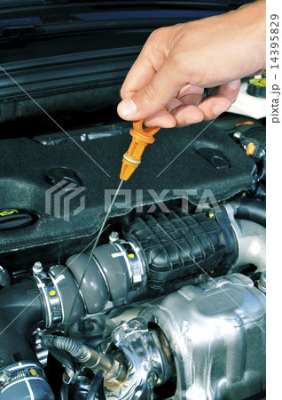 young man measuring the level of motor oil with a dipstick 14395829