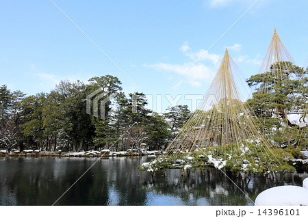 冬の兼六園(唐崎松雪吊り) 冬の兼六園(唐崎松雪吊り) 14396101