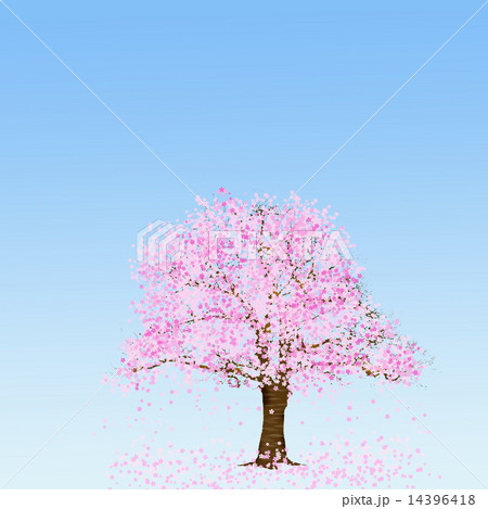 満開の桜の木のイラスト素材