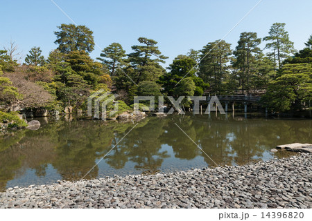 京都御所 御池庭と欅橋 京都御所 御池庭と欅橋 14396820