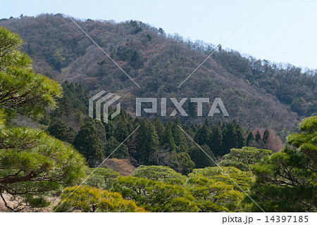 修学院離宮 比叡山麓 修学院離宮 比叡山麓 14397185