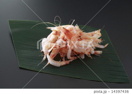 桜えび、釜揚げ桜えび 14397436
