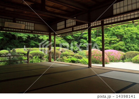 サツキ咲く京都詩仙堂の庭園 サツキ咲く京都詩仙堂の庭園 14398141
