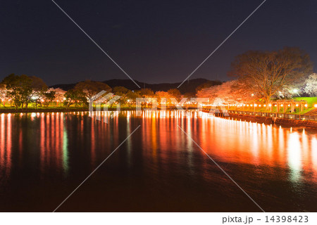 幻想的な春 14398423