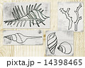 海のモチーフのイラスト 14398465