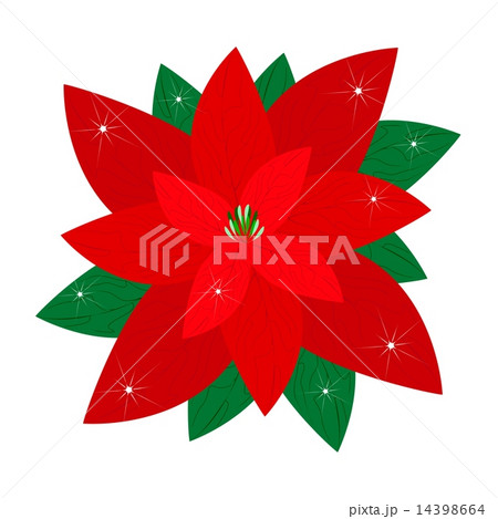 Red Christmas Poinsettia Flower White Background 14398664