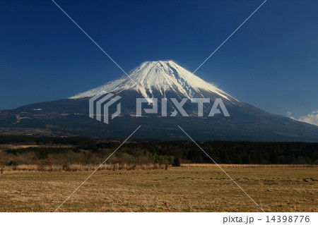 ふもとっぱらからの富士山 14398776