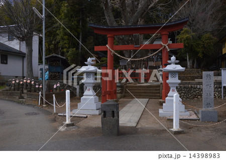 八王子 熊野神社の3月 八王子 熊野神社の3月 14398983