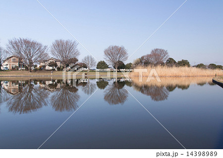 前橋総合運動公園1 前橋総合運動公園1 14398989