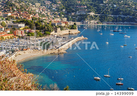 View of Monaco and many yachts 14399099