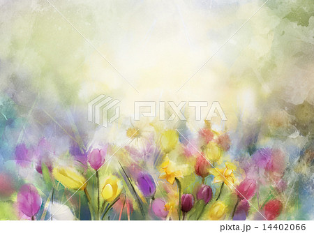 Watercolor flowers painting 14402066