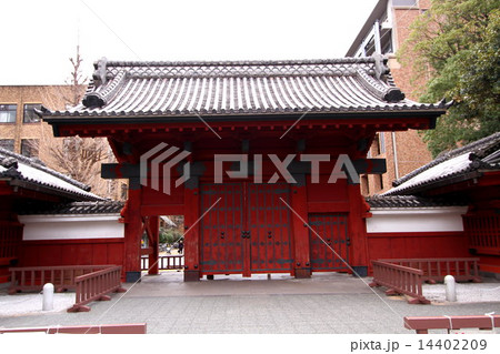 赤門　東京大学 14402209