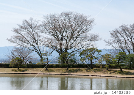 修学院離宮 上離宮の西浜 修学院離宮 上離宮の西浜 14402289