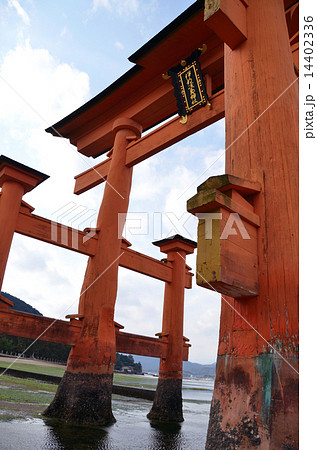 宮島の大鳥居 14402336