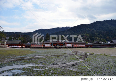 干潮時の厳島神社 干潮時の厳島神社 14402337
