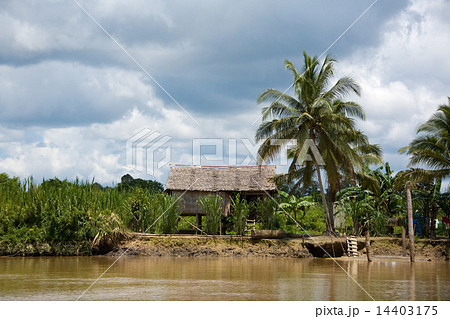 ボルネオ アジア 秘境 House of the Malaysian Borneo jungle ボルネオ アジア 秘境 House of the Malaysian Borneo jungle 14403175