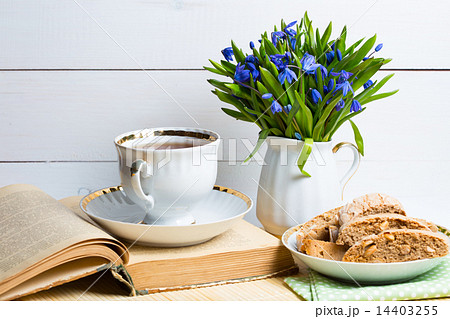 snowdrops 14403255