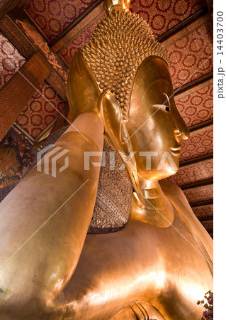 Reclining Buddha 14403700
