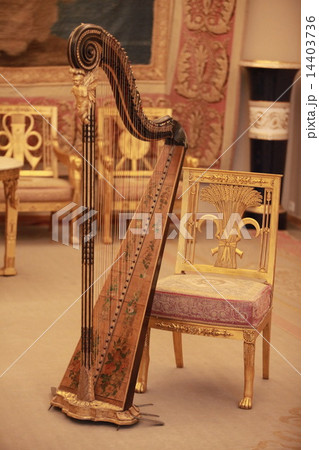 Gold music 14403736