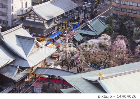 湯島天神 14404026