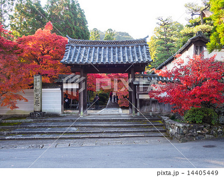 一休寺の紅葉 14405449