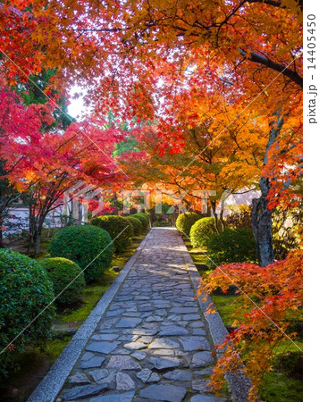 一休寺の紅葉 一休寺の紅葉 14405450