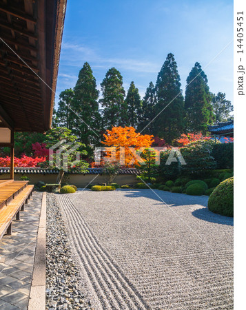一休寺の方丈庭園と紅葉 14405451
