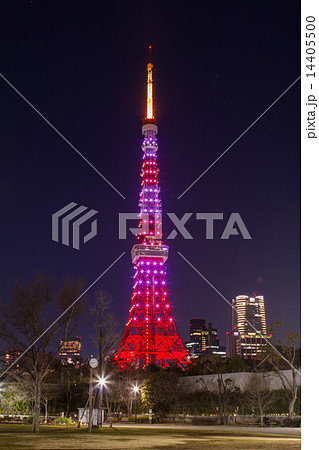 東京タワー ダイヤモンドヴェール バレンタインverの写真素材