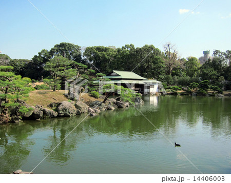 清澄庭園 14406003