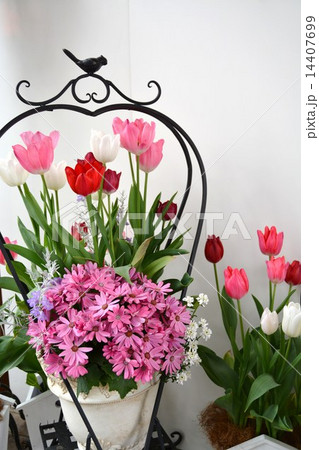 ガーデニング 14407699